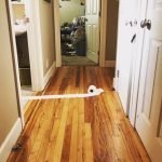 An honest account of chore time in the shitshow of my domicile